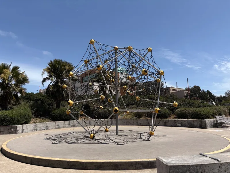 Only climbing structure 