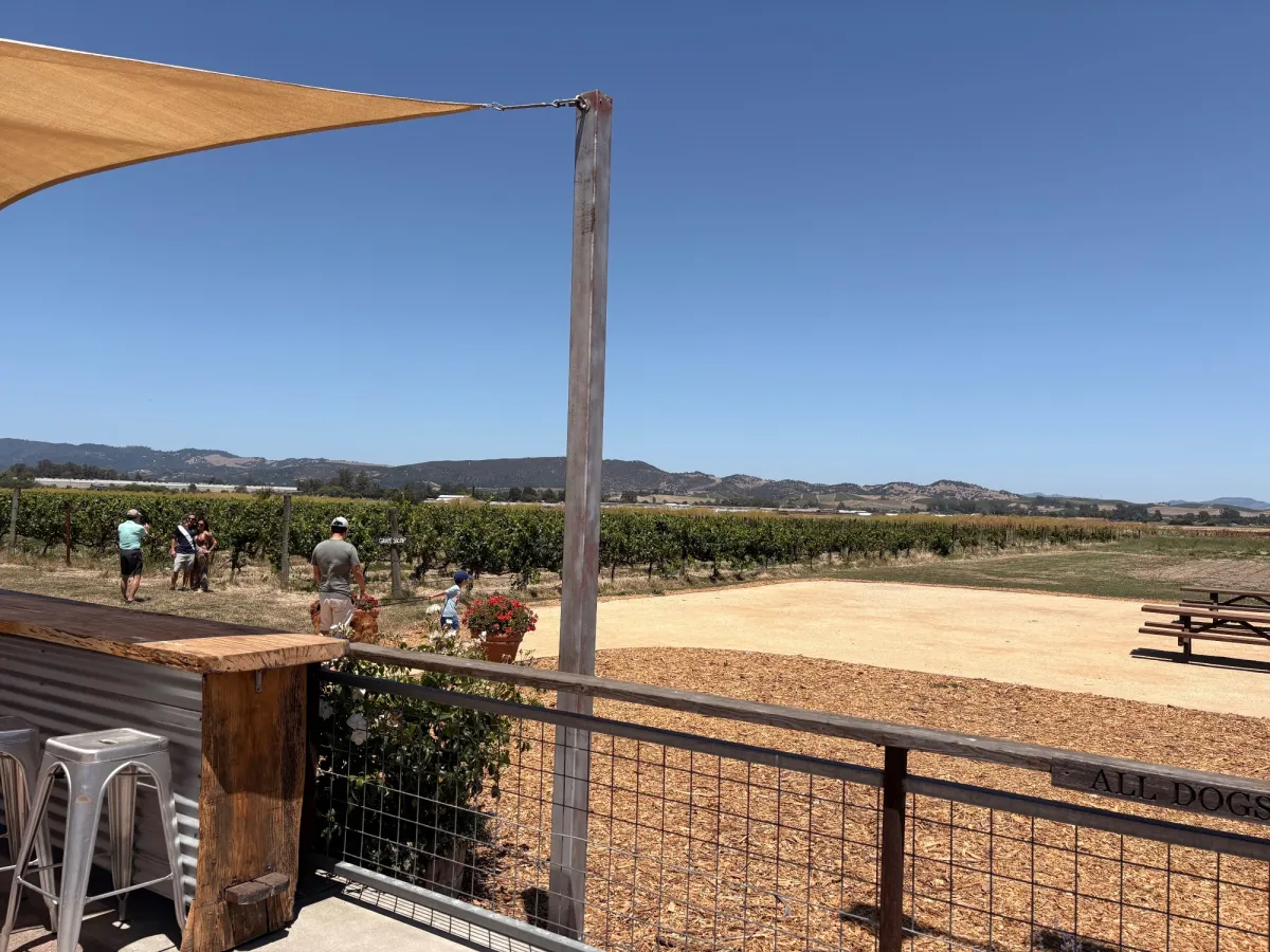 Grapes and Vineyard view
