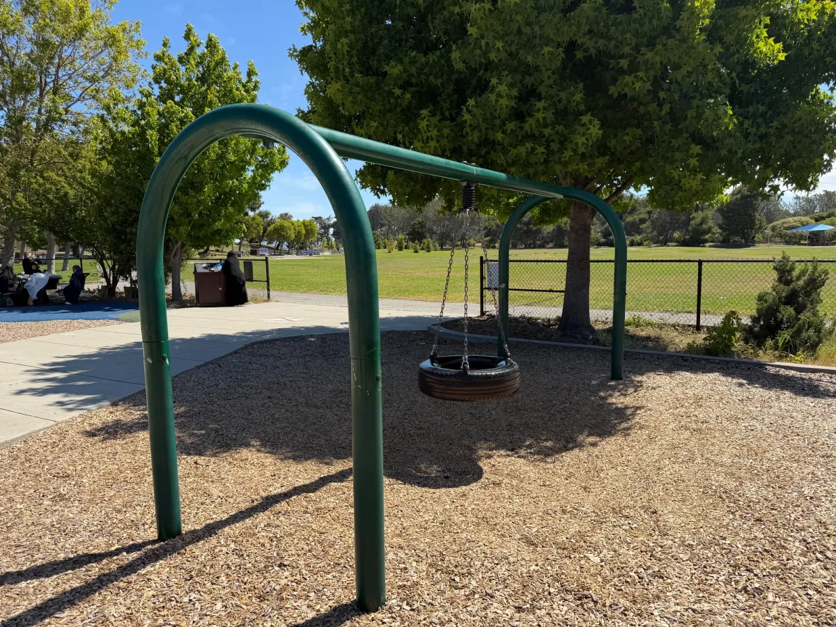 Tire swing