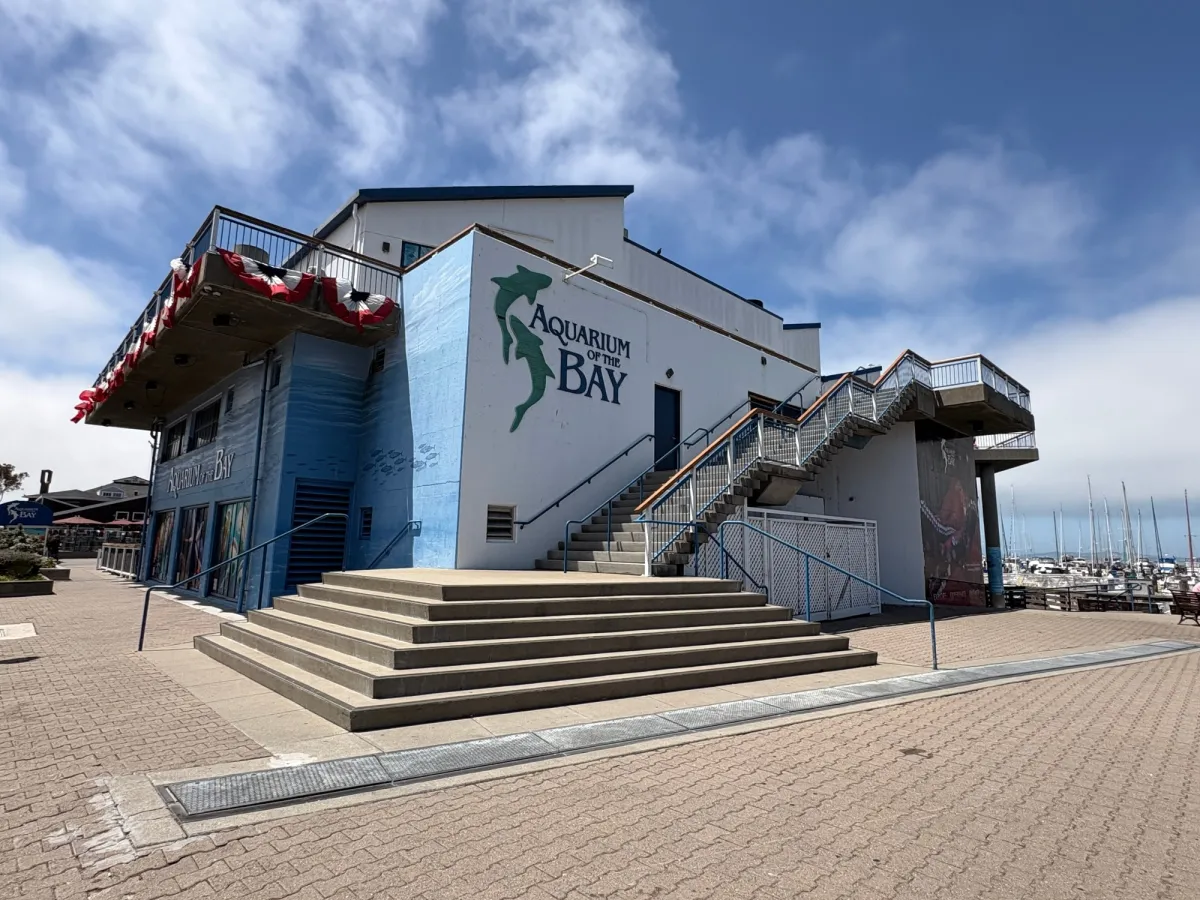 Aquarium right next to it