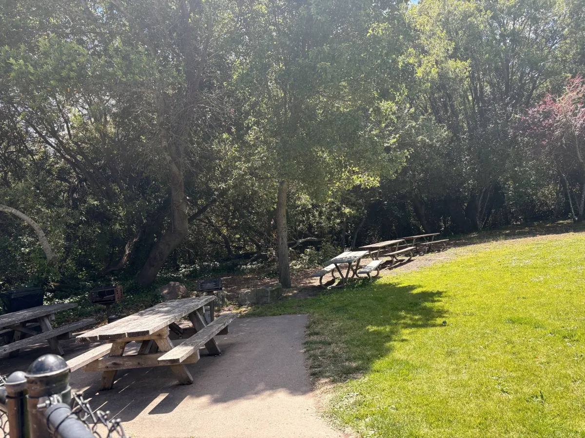 Picnic tables