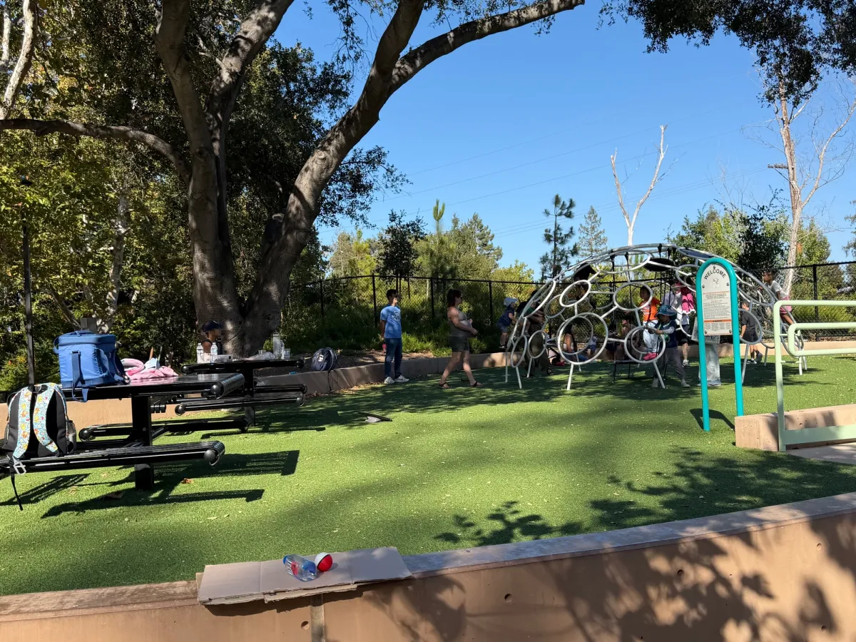 Climbing zone