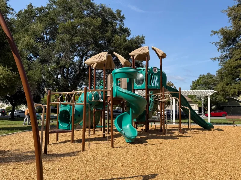 Big kid playground structure