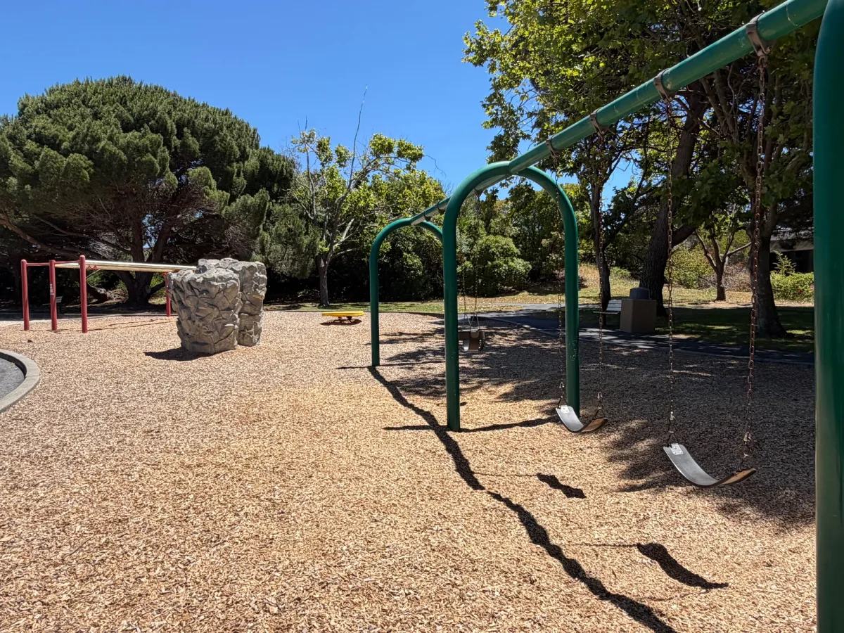 Swings, zip lines, and climbing rock