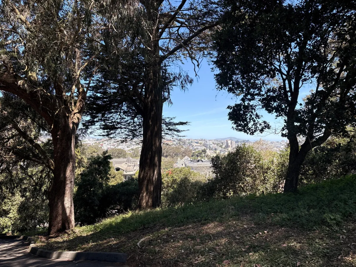 Views of SF