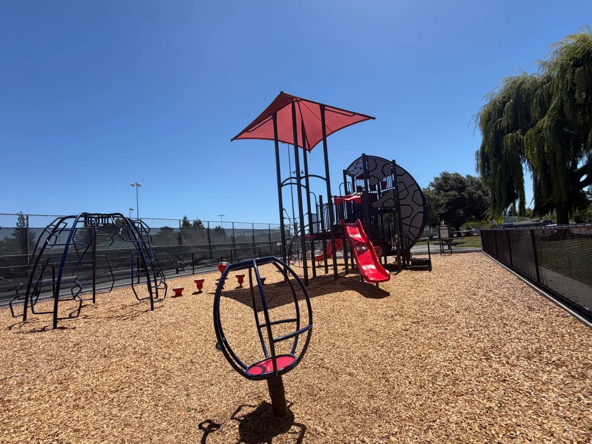 Back of play structure, showcasing spinner and climbing structure
