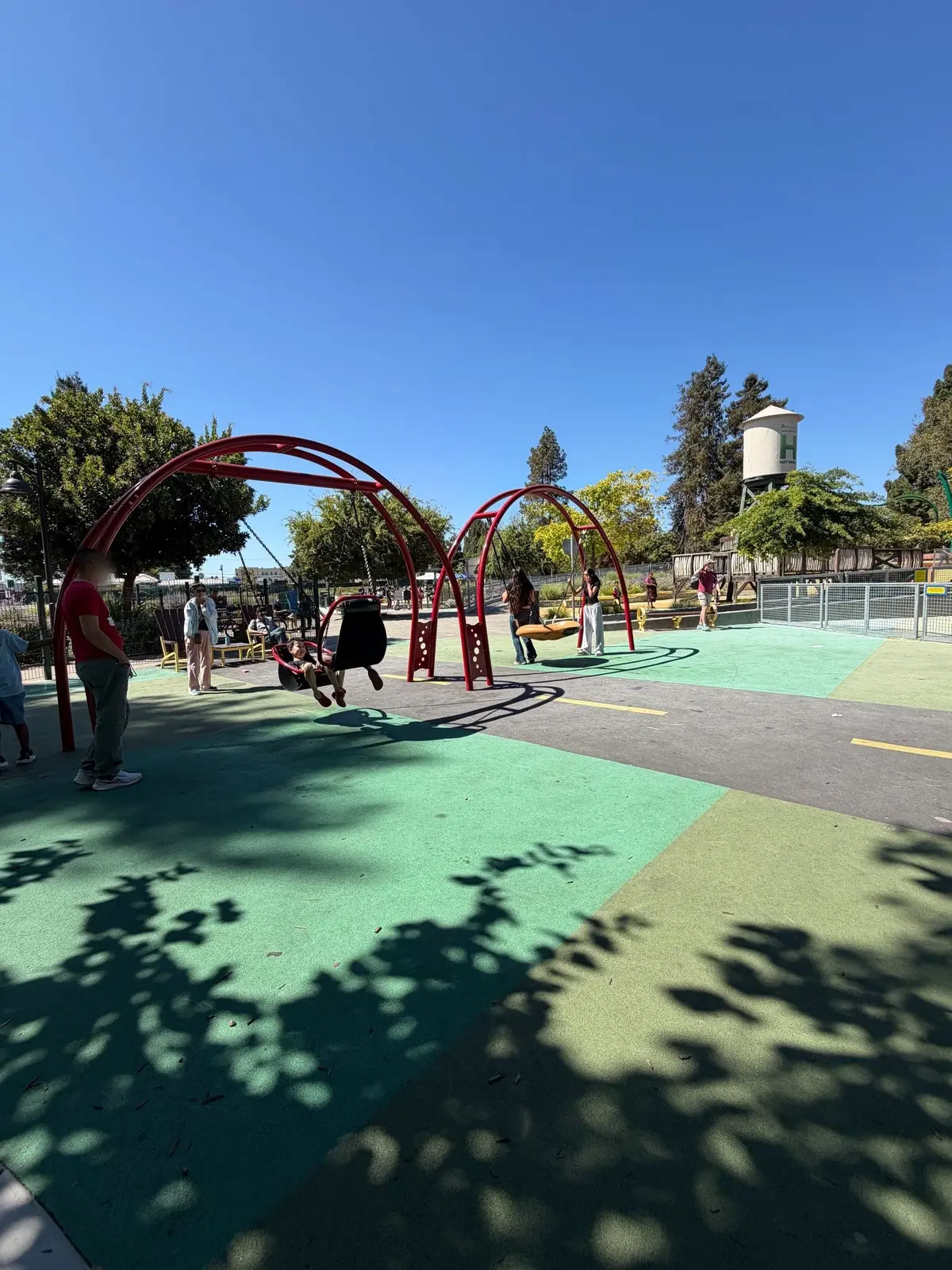 Saucer Swings