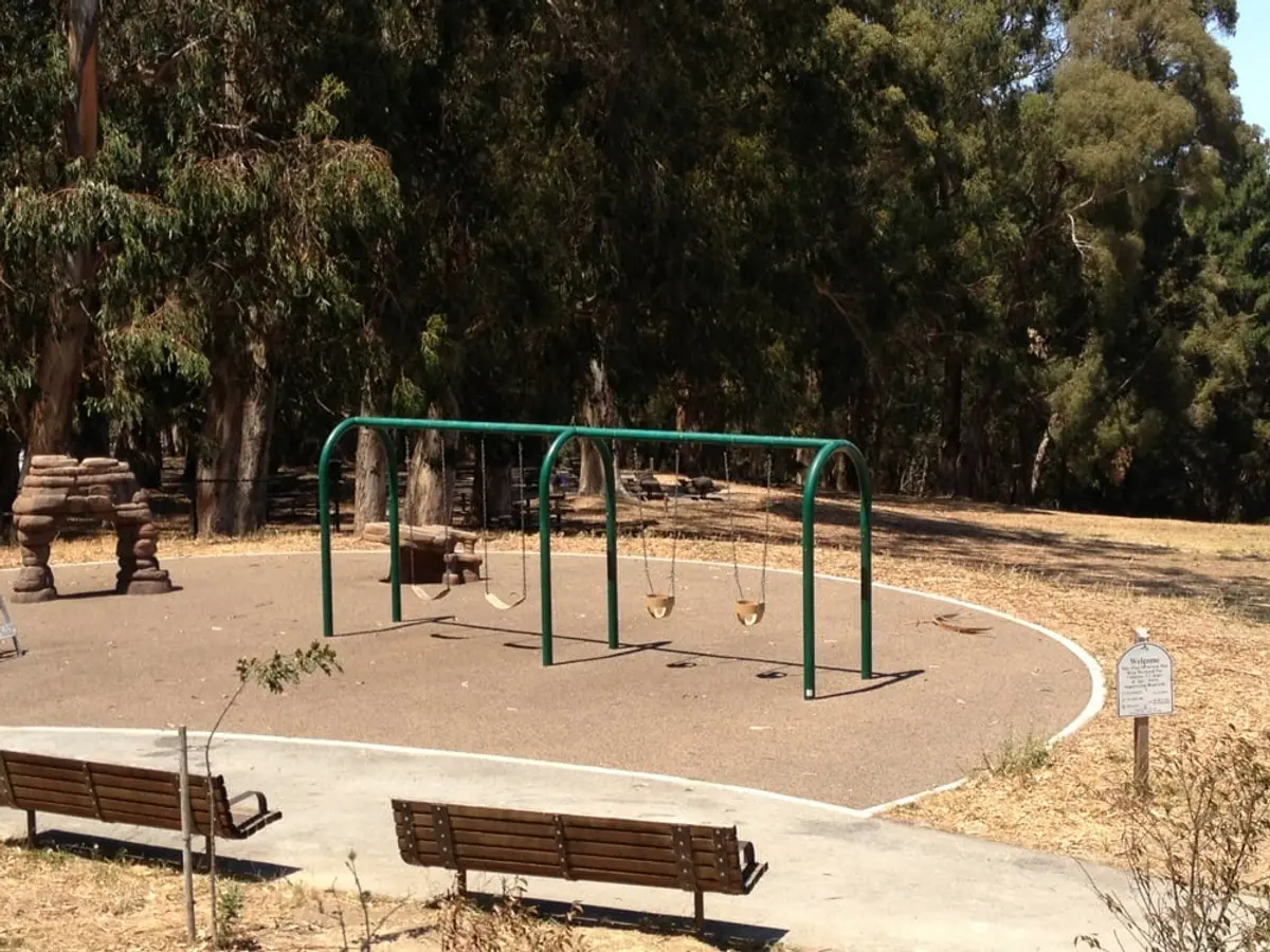 Toddler and big kid swings 