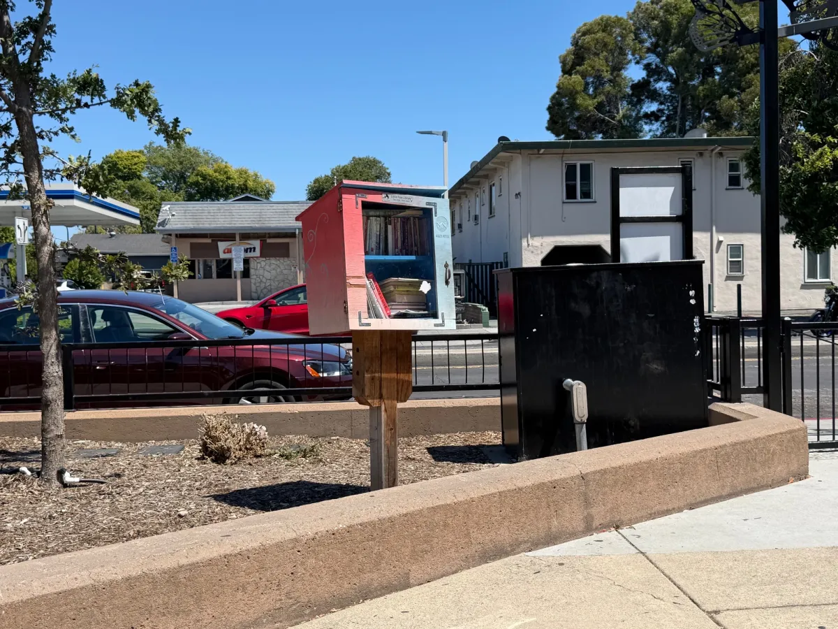 Free little library