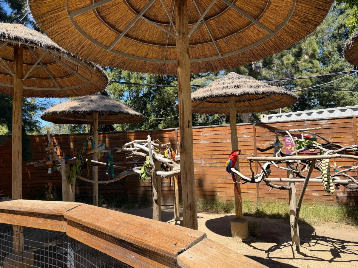 Macaw exhibit at zoo