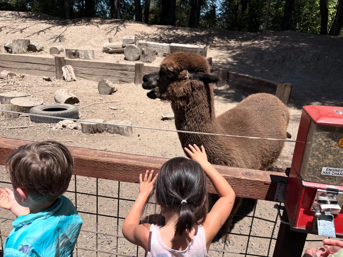Petting Zoo in the middle of the train ride