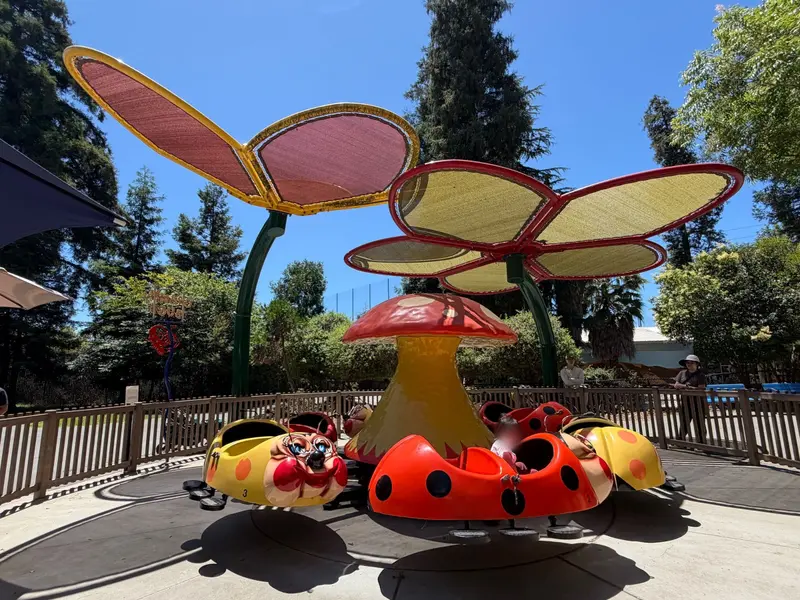 Ladybug ride is also good for little ones