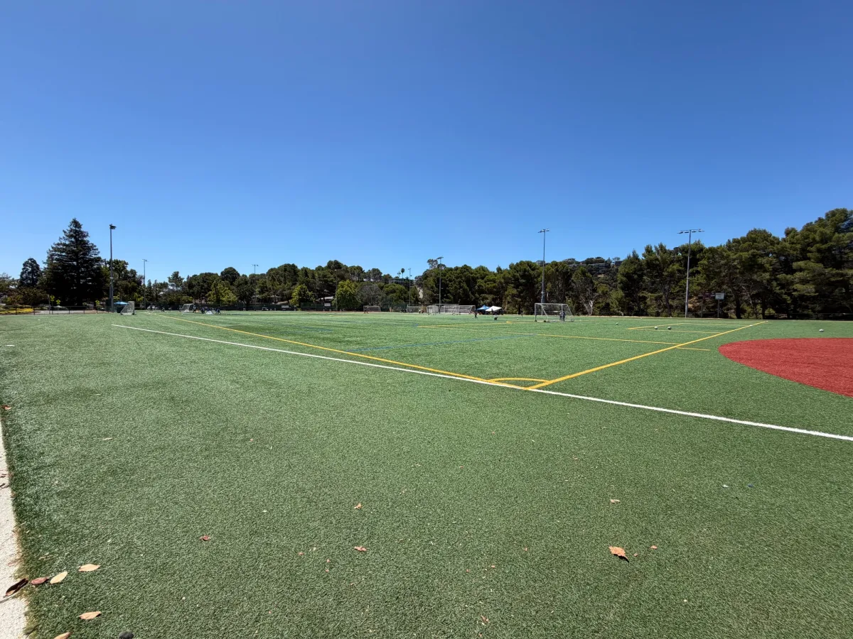 Well maintained, extremely large field