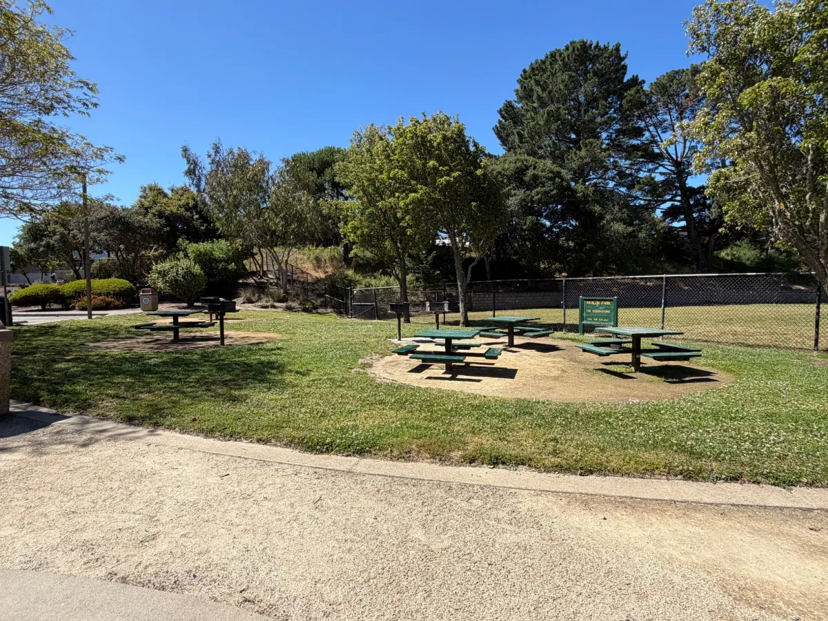 Picnic table cluster with bbqs within sight of playground