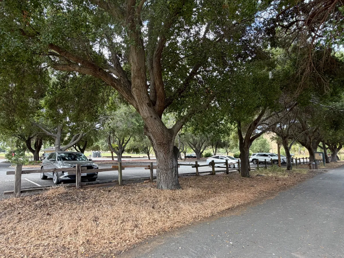 Lots of parking, crowds are moderated by $6 entry fee