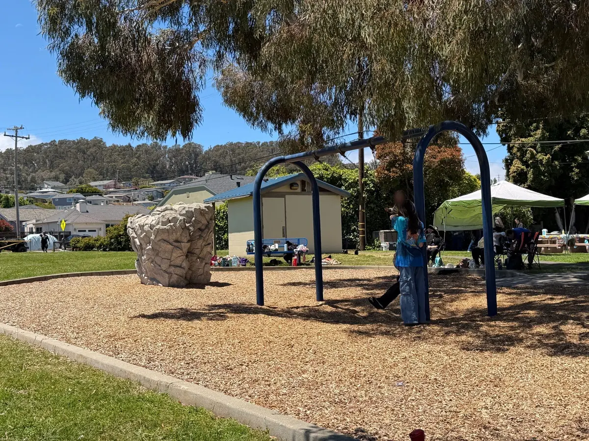 2 regular swings, climbing rock, with cluster of picnic tables in front