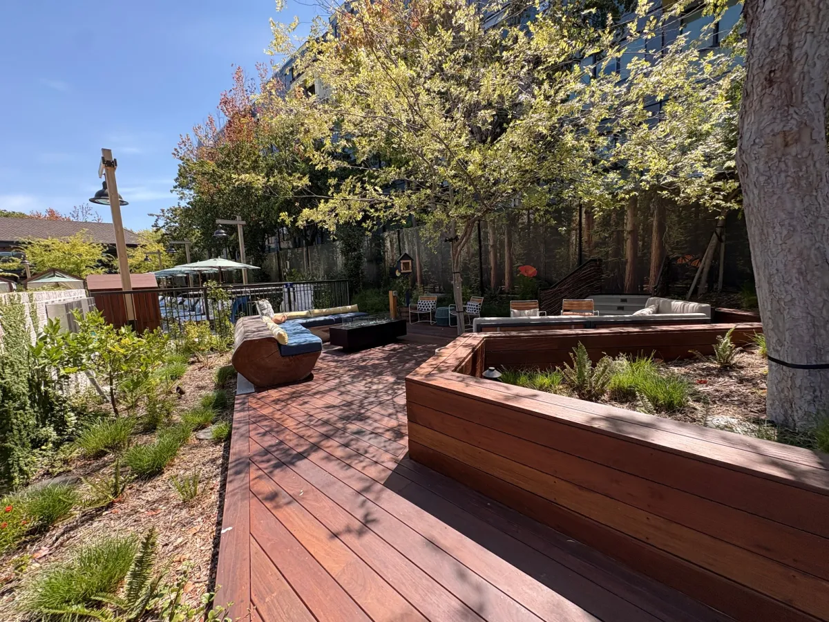 Treehouse Hotel Silicon Valley
