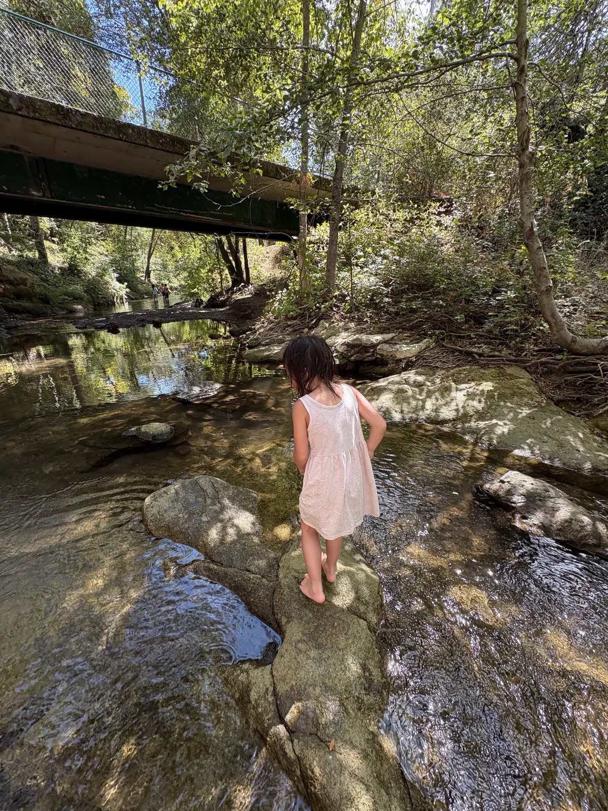 Morton's Warm Springs