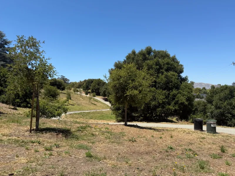 Walking trail winding up the hill