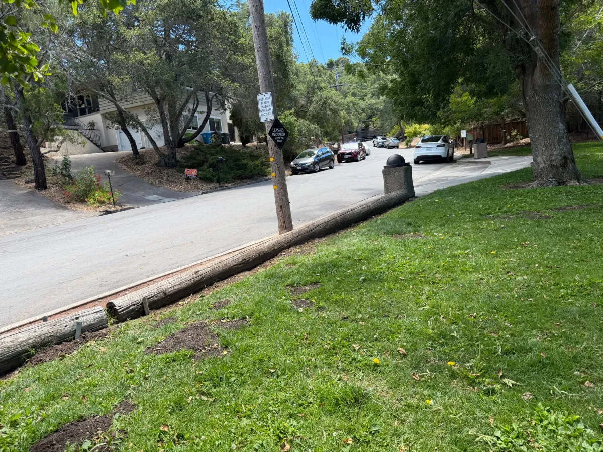 Plenty of street parking available