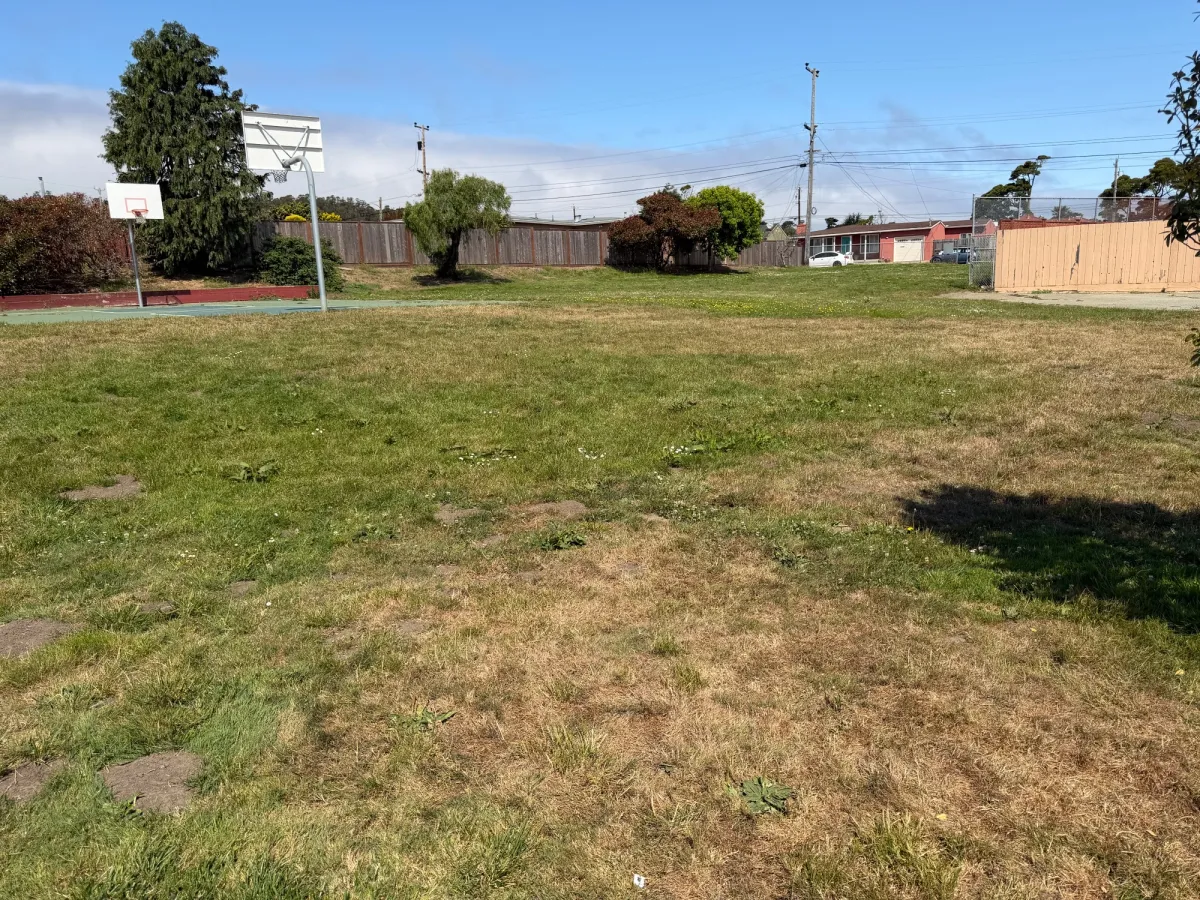 Grassy field to run around, but by no means a full soccer field