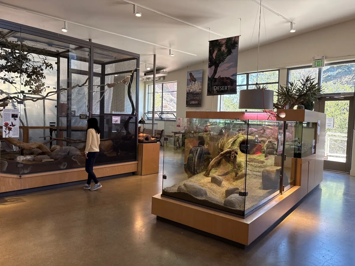 There are various exhibits in this free museum for littles