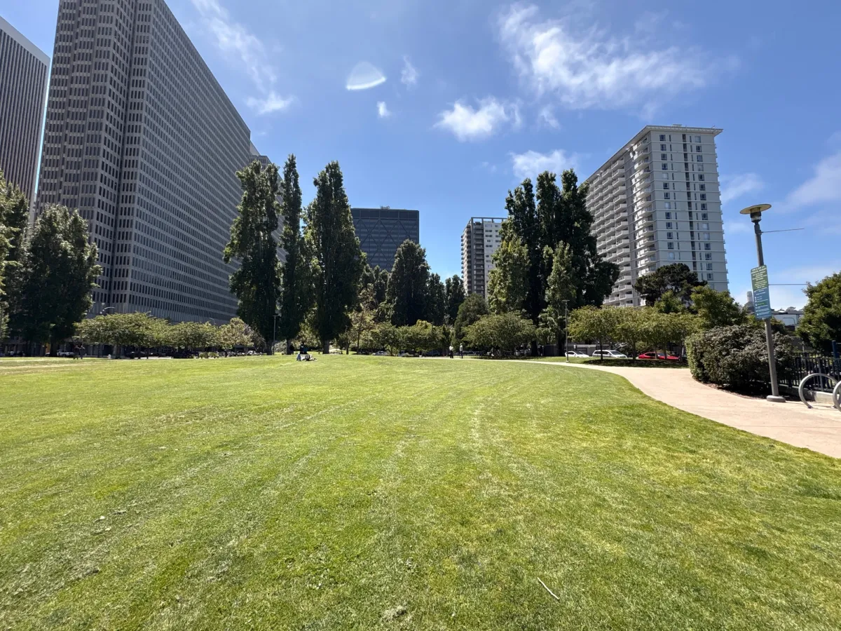 Grassy area where locals and tourists sunbathe