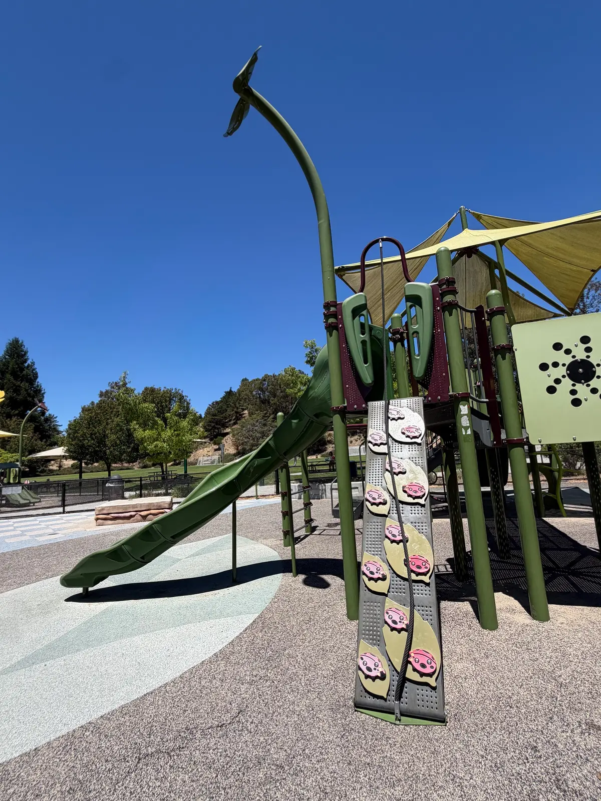 Ladybug incline to slide