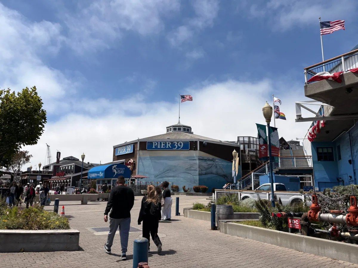 Pier 39 tourist activities