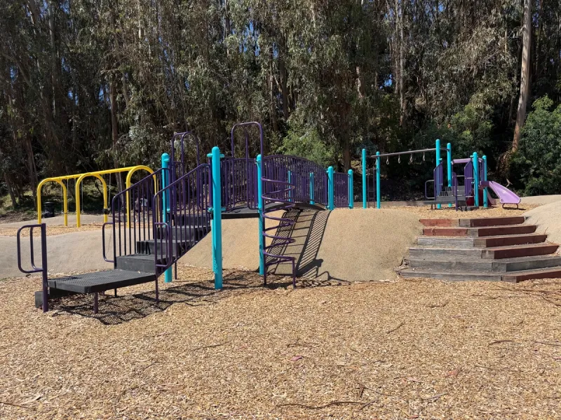 Bridge, swing set, and toddler play structure in back