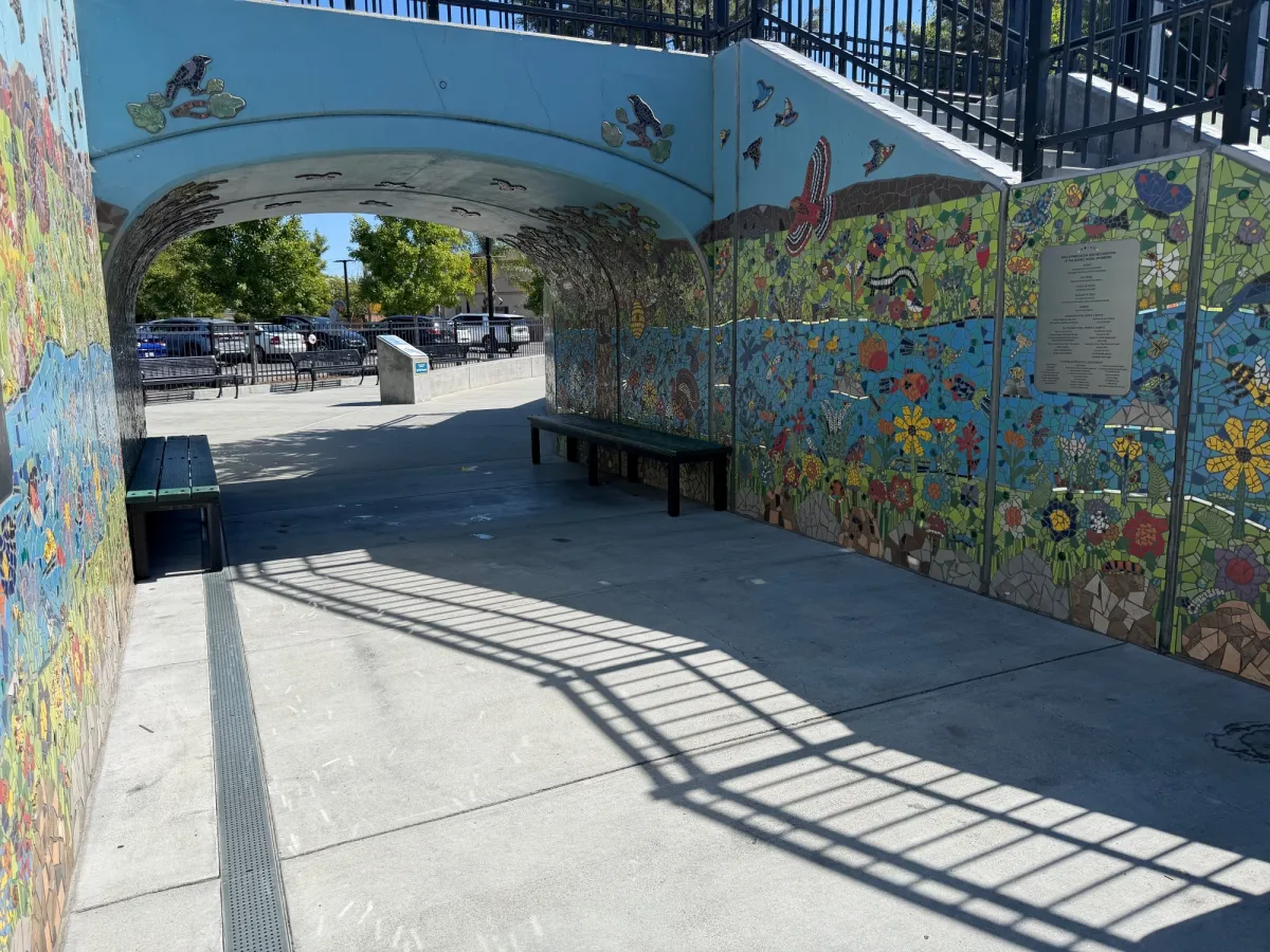 Painted walkway 