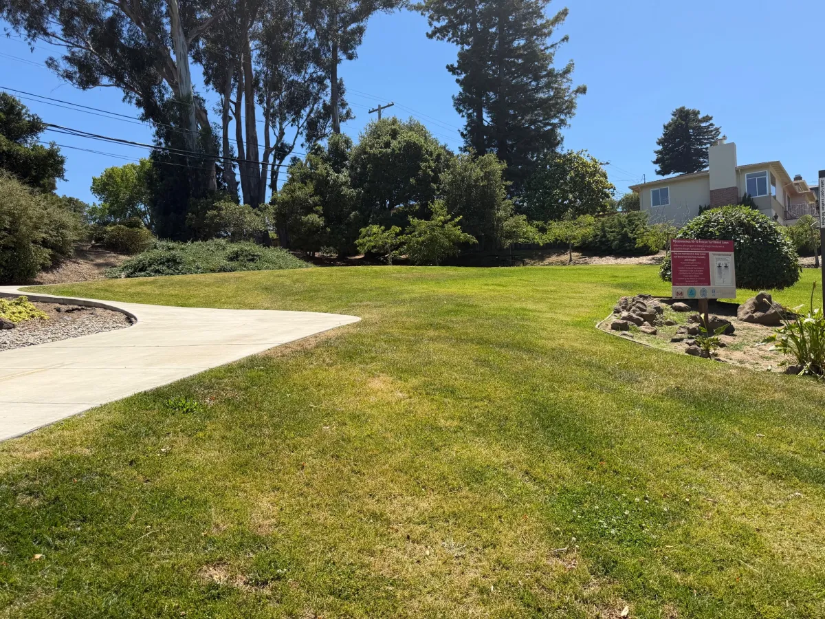 Grassy field at the entrance