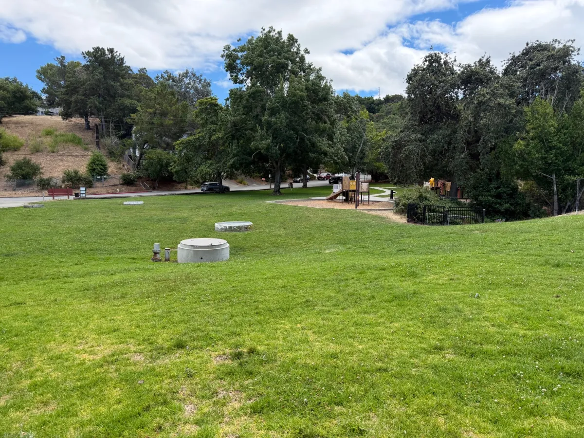 Large grassy area in front of playground