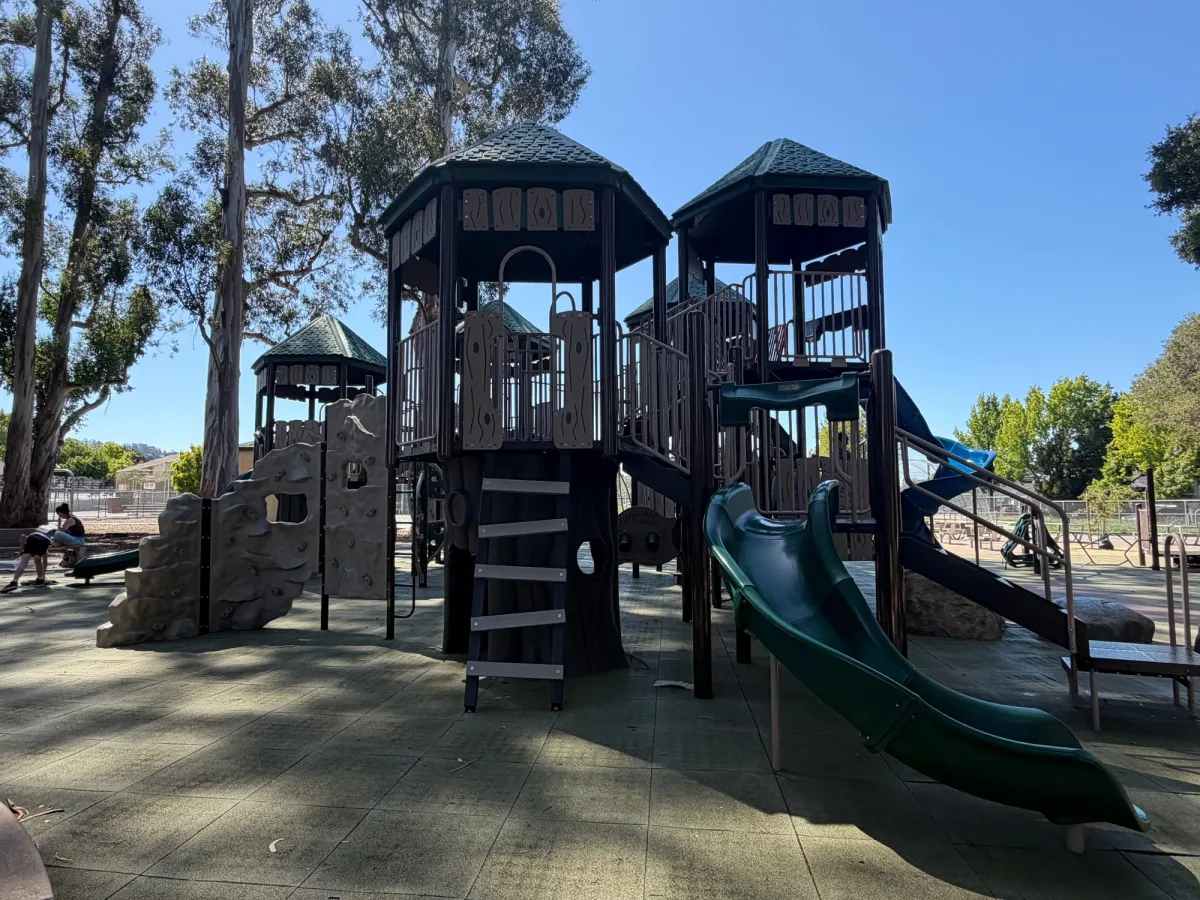 Big kid treehouse 