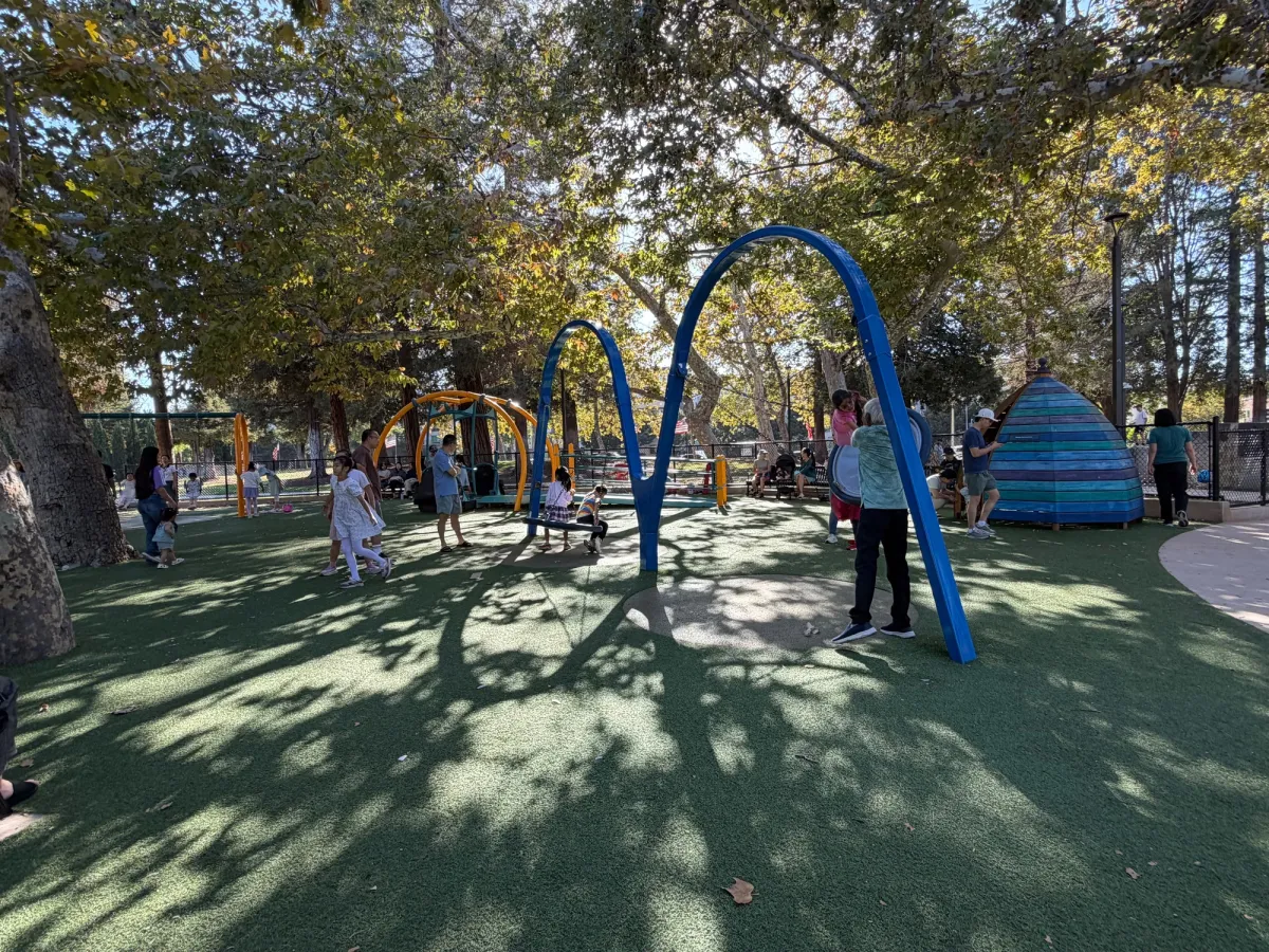Saucer Swings