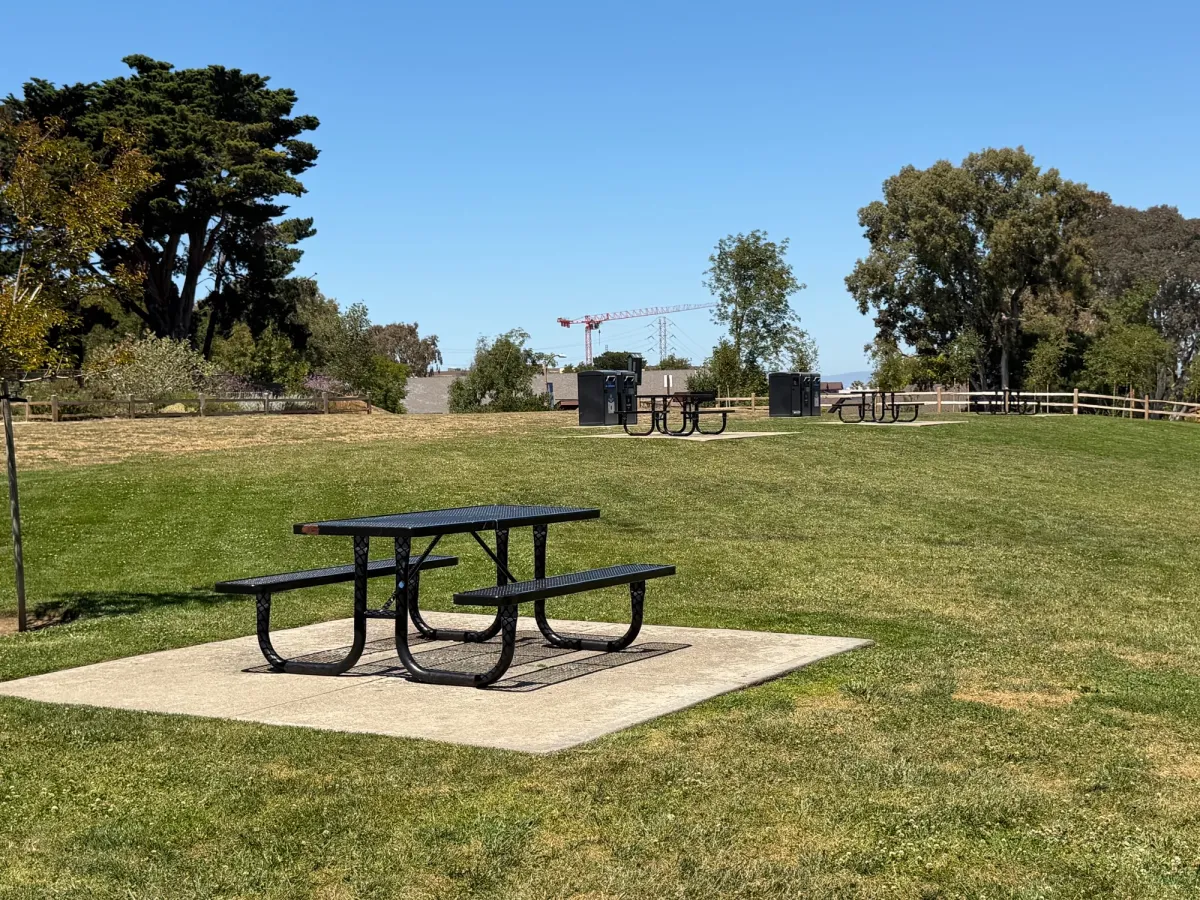 Several picnic tables scattered throughout park