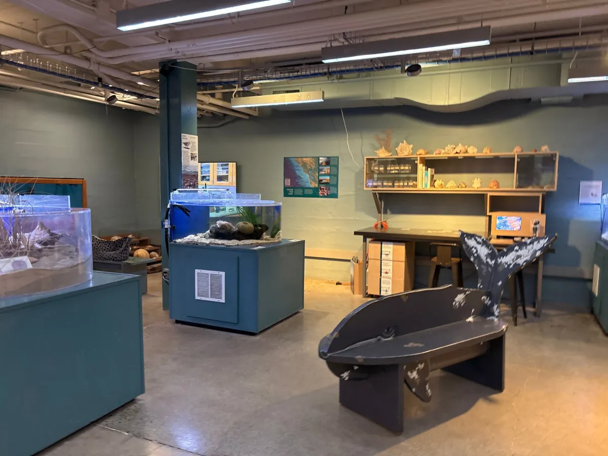Sea animal exhibit