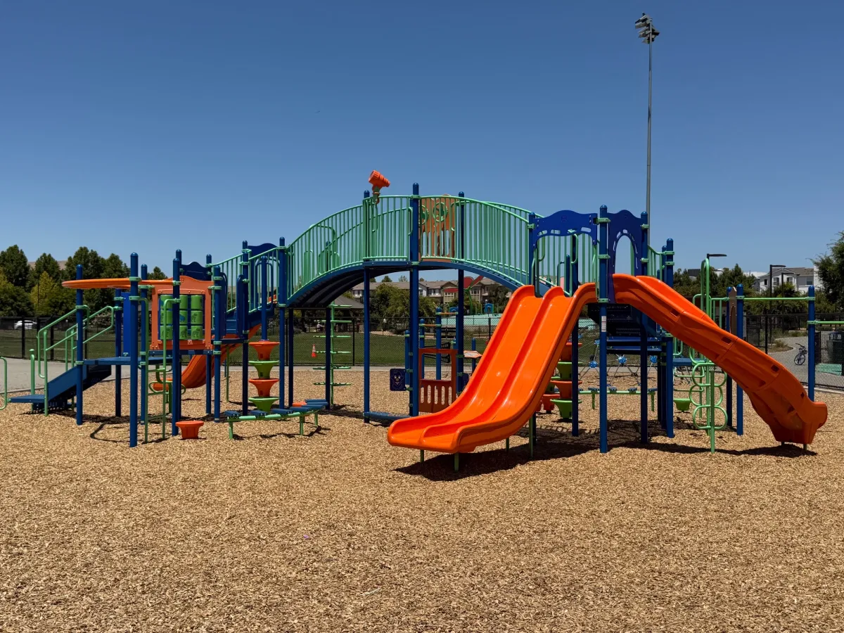 Multiple slides and climbers