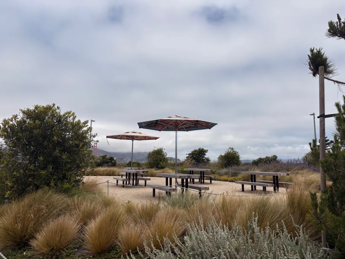 Plenty of picnic tables and shade