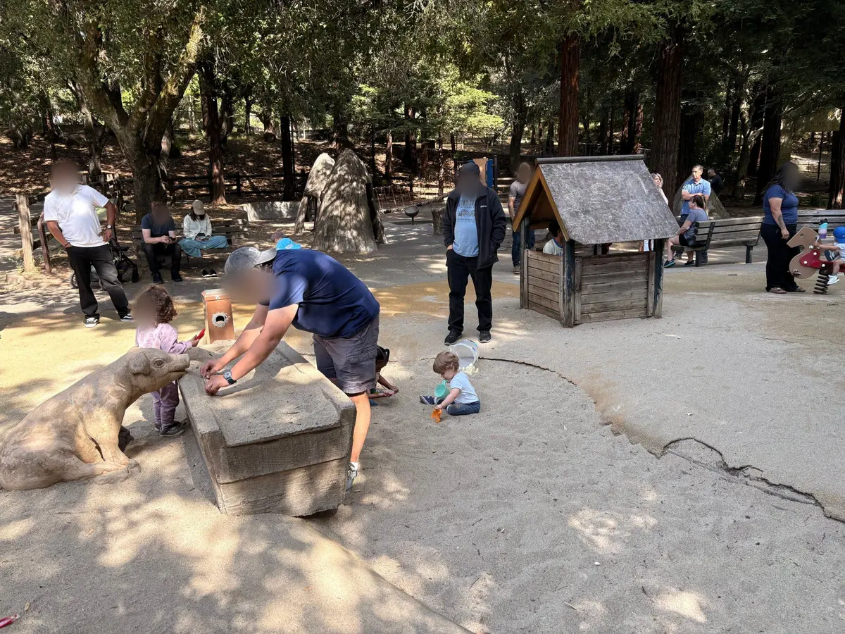 Pig sculptures to play with in one of the few sand pits