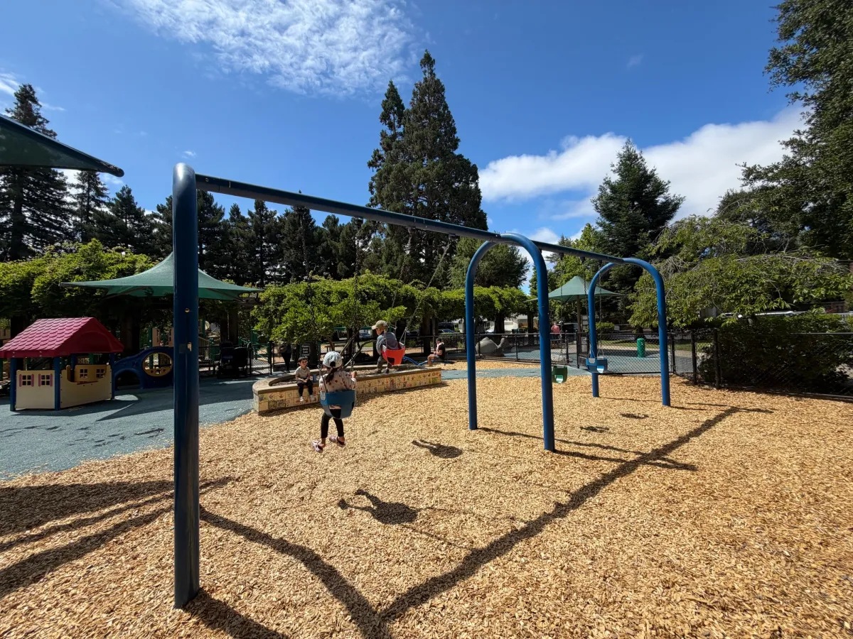 Toddler swings
