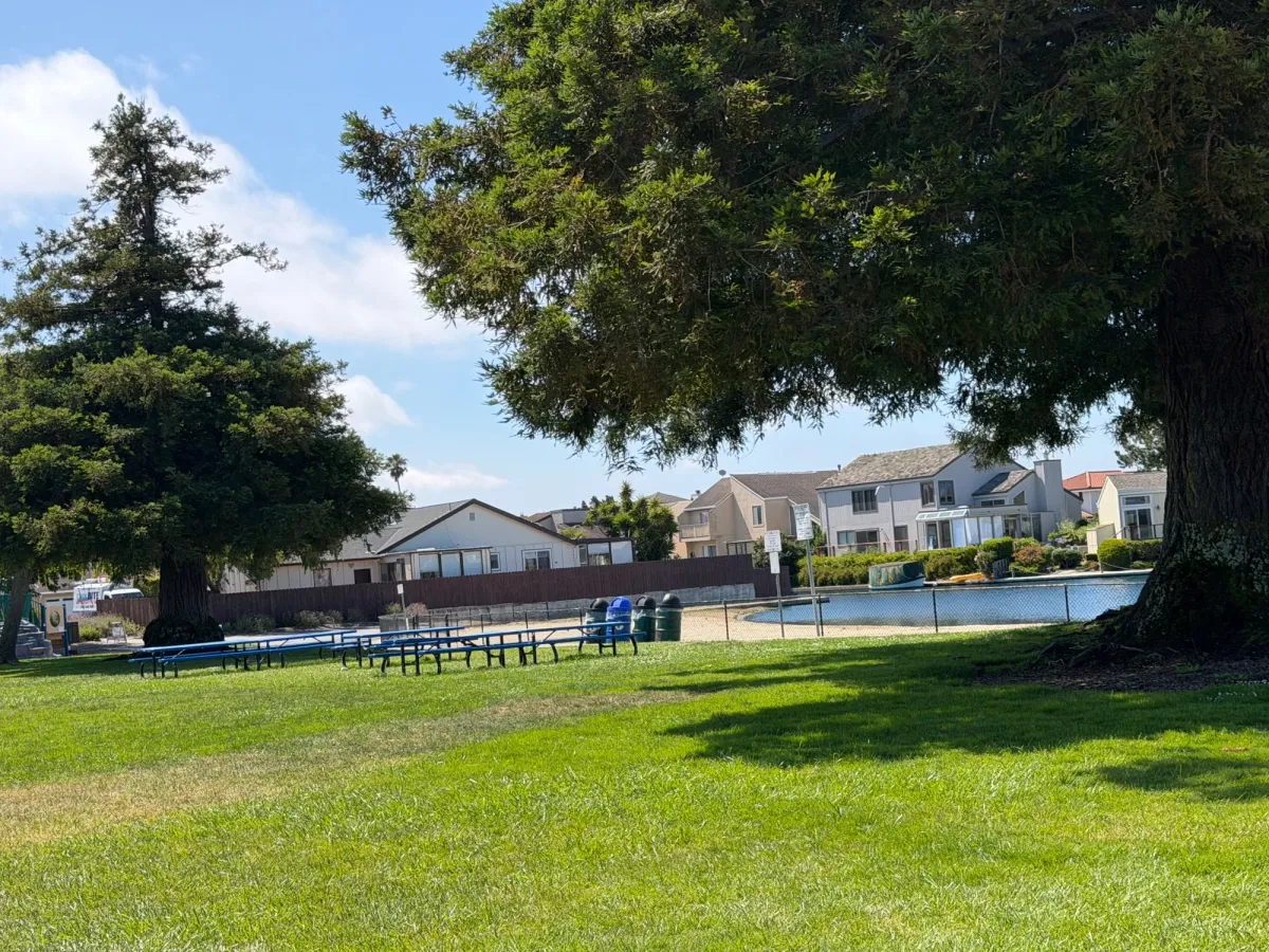 Picnic area