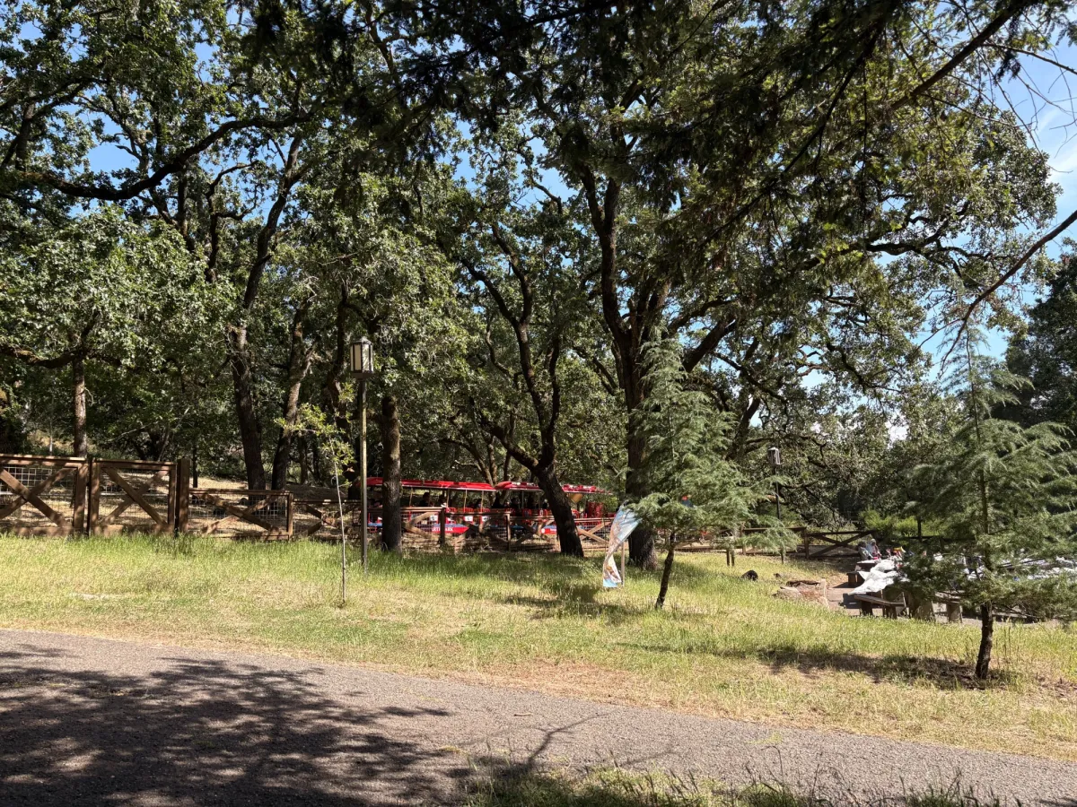 A train that goes through the state park, tickets are $4