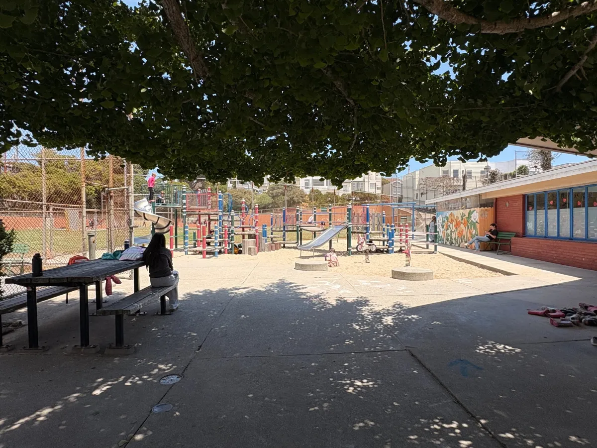 View from the shade