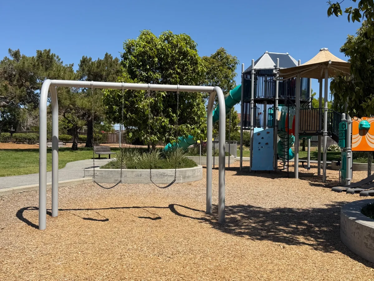 Big kid swings and climbing wall