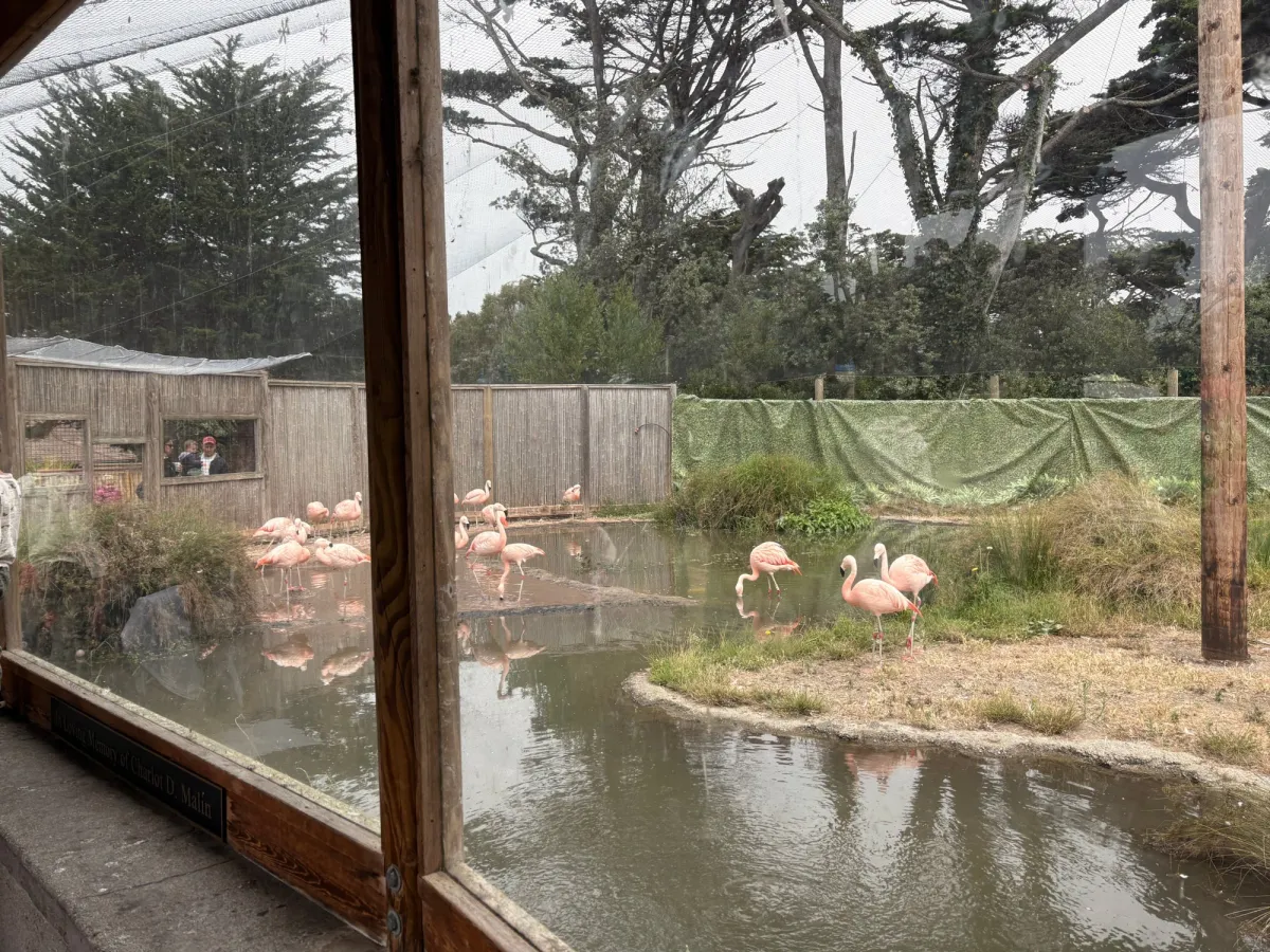 San Francisco Zoo