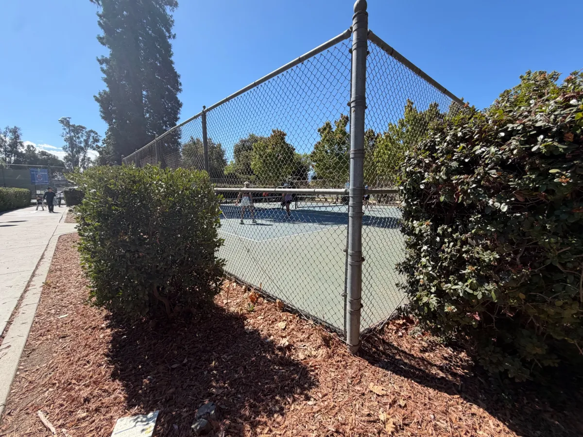 Several Tennis courts available