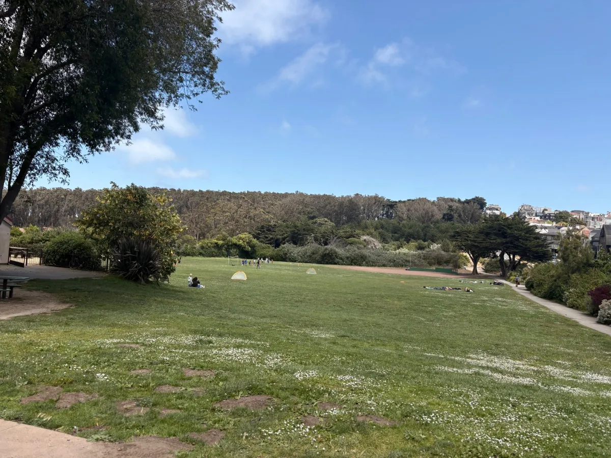 Wide grassy field