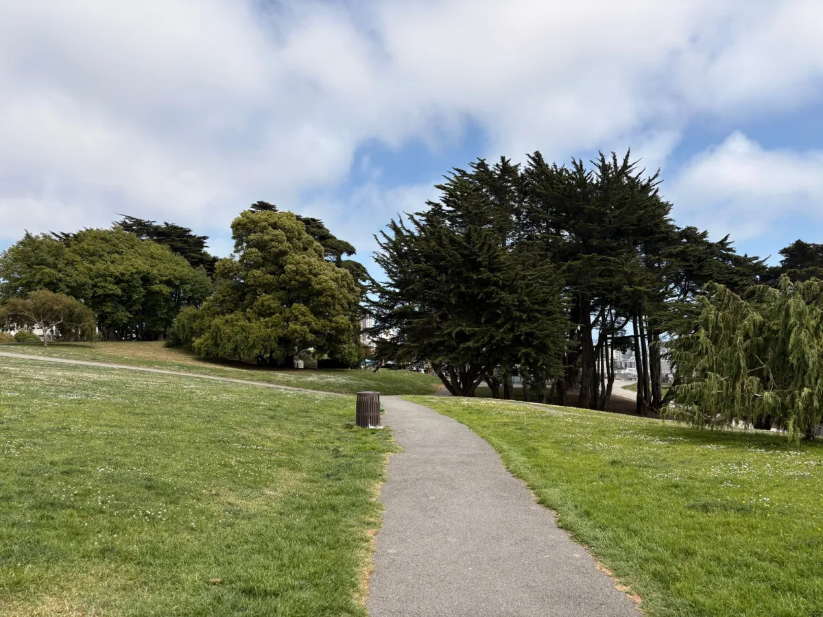 Verdant views