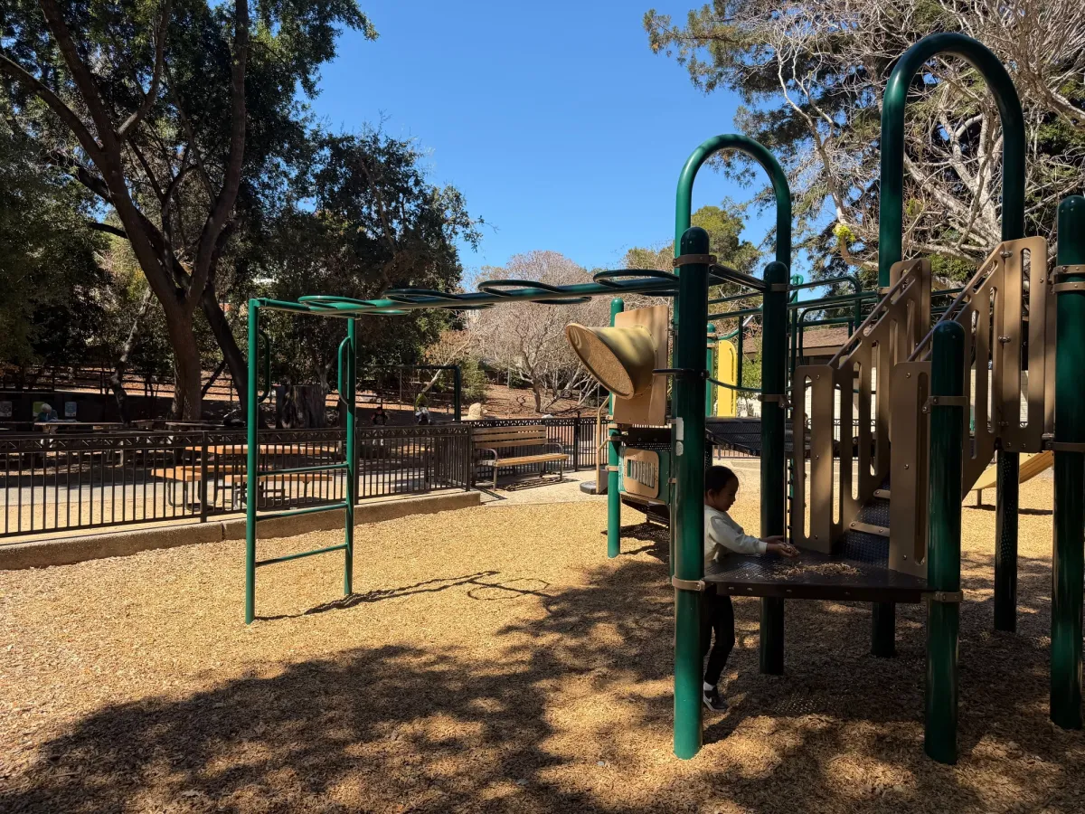 Monkey bars